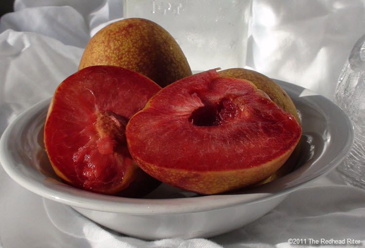 It Is So Sexy Ripe Plums Are Falling